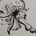 transparentghosty avatar