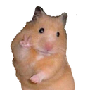 transparentpicklezonklover avatar