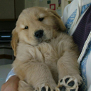 transparentprincegalaxy avatar