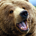 transparkle-blog avatar