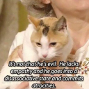 transpestilence avatar