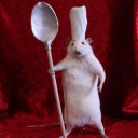 transtimemachine avatar