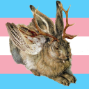 transwolpertinger avatar