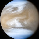 trapicaldaive avatar