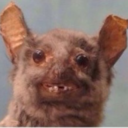 trapkingsbebe avatar