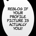 traplanding-blog avatar