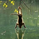 trapninjaguru avatar