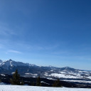 trapped-in-timee avatar