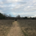 trappedinthegarden avatar