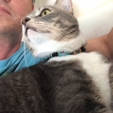 trappedunderacat avatar