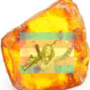 trapping-blogs-in-amber avatar