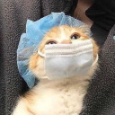 traserodepinguino avatar