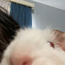 trash-panda58 avatar