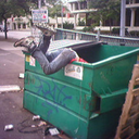 trashaddendum11 avatar