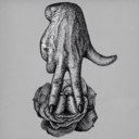 trashboatlobo avatar