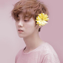 trashccentric avatar