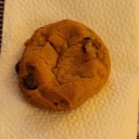 trashlandencan avatar