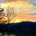 trashley-brown-blog avatar