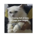 trashliterature avatar