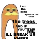 trashpandaperson avatar