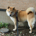 trashy-scribbles avatar