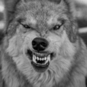 trasparenzacomeapparenza avatar