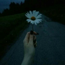 trastornoborderlinee avatar