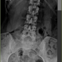 traumaticdarling avatar