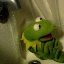 traumatizedkermit-blog avatar