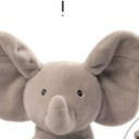 traumatizedslxt avatar