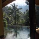 travel-all-around-the-world avatar