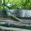 travel-dreams-o-mine avatar