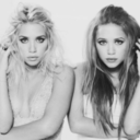 travel-universee avatar