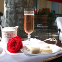 travelcocktail avatar