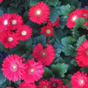 traveleatvive avatar