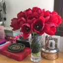 traveler-once-told avatar