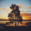 traveling-inspiration avatar