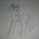 traveling-pony avatar