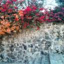 travelingfortruth avatar