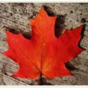 travelinginmyadventures avatar