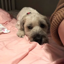 travelingismyjam avatar