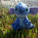 travelingstitch avatar