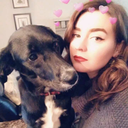 travelingtinman avatar