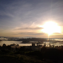 travellandscape avatar