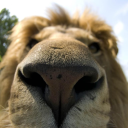 traveller-157 avatar