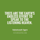 travelleroflands avatar