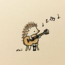 travellerthoughts avatar