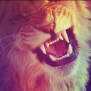 travellight05 avatar