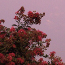 travelling-to-the-stars avatar