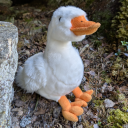 travellingduck avatar